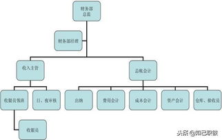 酒店管理职业规划 一 二 行业发展现状 酒店组织结构