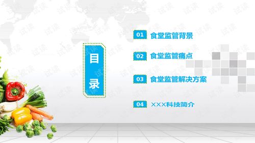 学校食堂食品安全监管平台建设方案学校餐厅食品安全监管平台建设方案.ppt 互联网文档类资源 csdn下载